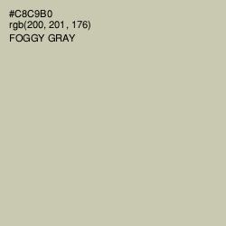 #C8C9B0 - Foggy Gray Color Image